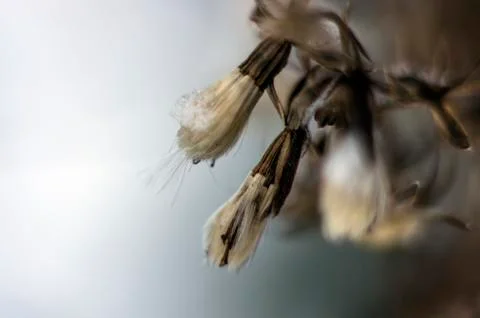 Natural background Stock Photos