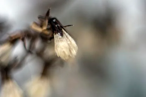 Natural background Stock Photos