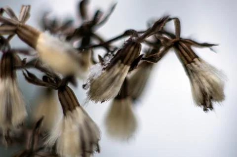 Natural background Stock Photos