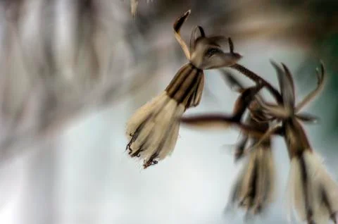 Natural background Stock Photos