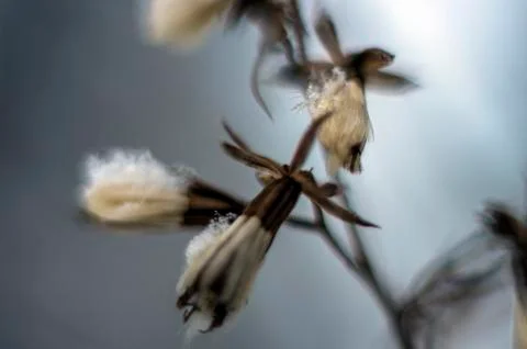 Natural background Foto stock