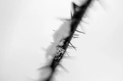 Natural background Stock Photos