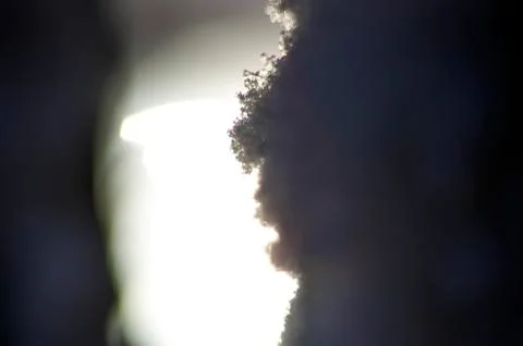 Natural background Foto stock