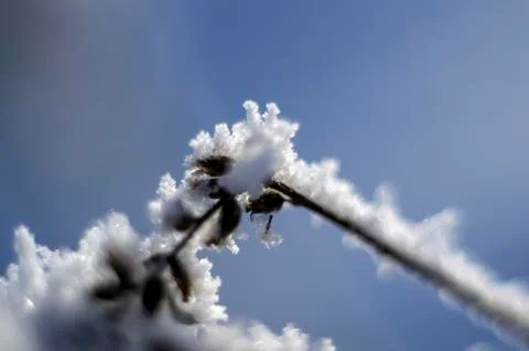 Natural background Stock Photos