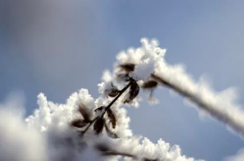 Natural background Stock Photos