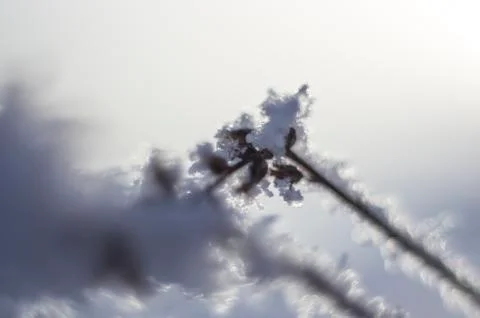 Natural background Stock Photos