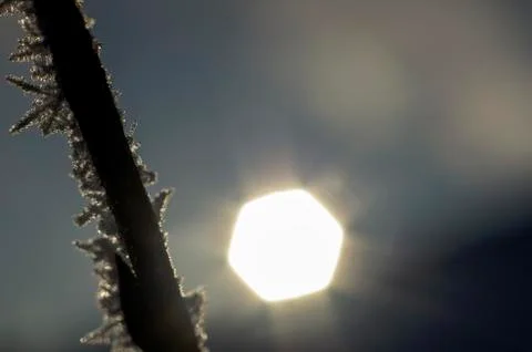 Natural background Stock Photos