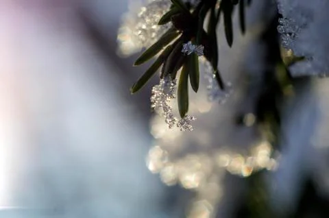 Natural background Stock Photos