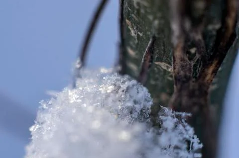 Natural background Stock Photos