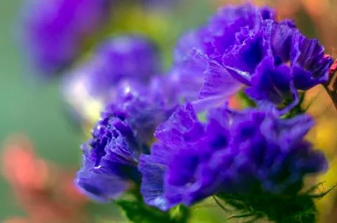 Natural background Stock Photos