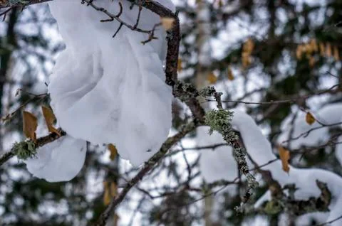 Natural background Foto stock