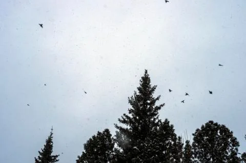 Natural background Stock Photos