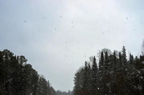 Natural background Stock Photos