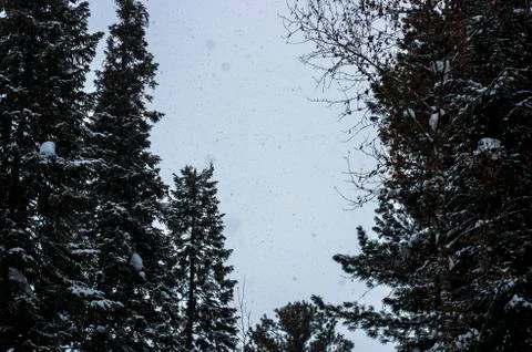 Natural background Stock Photos