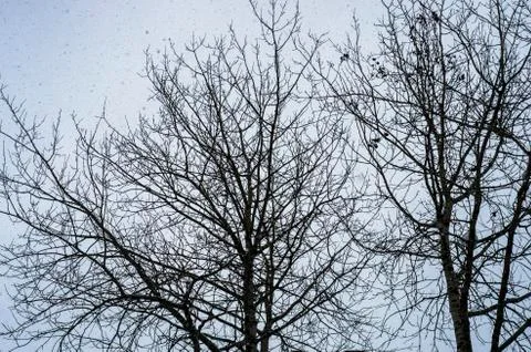 Natural background Stock Photos