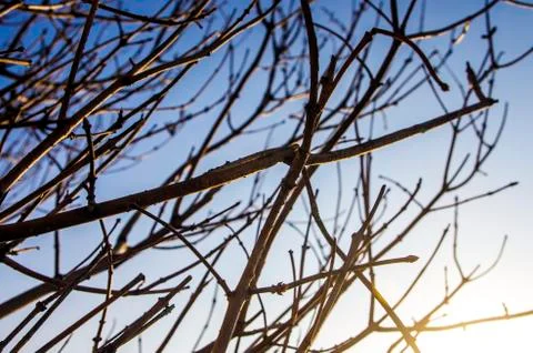 Natural background Stock Photos