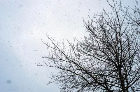 Natural background Stock Photos