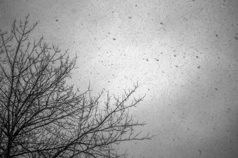 Natural background Stock Photos