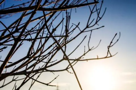 Natural background Stock Photos