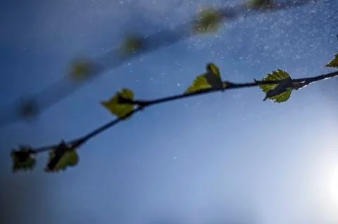 Natural background Stock Photos