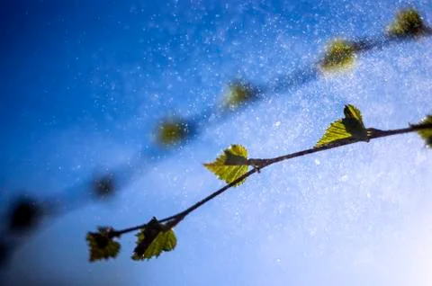 Natural background Stock Photos