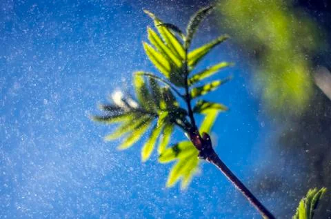 Natural background Foto stock