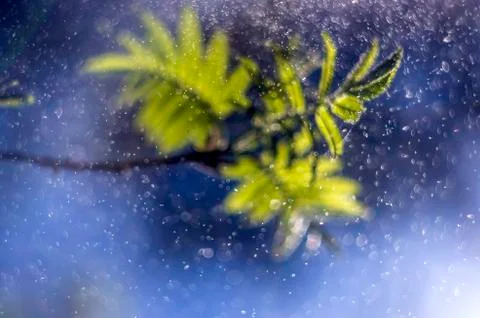 Natural background Stock Photos