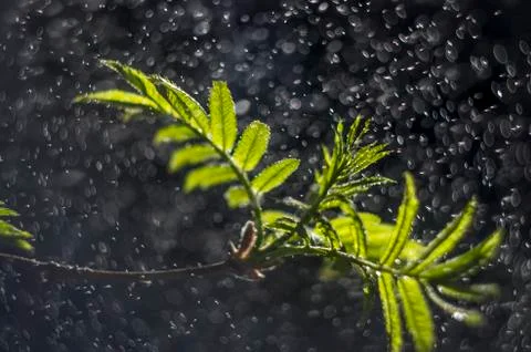 Natural background Foto stock