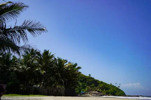 Natural Background Foto stock