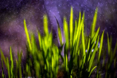 Natural background Foto stock