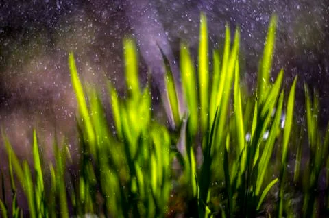 Natural background Stock Photos