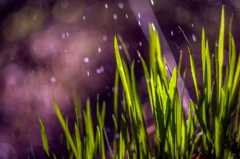 Natural background Foto stock