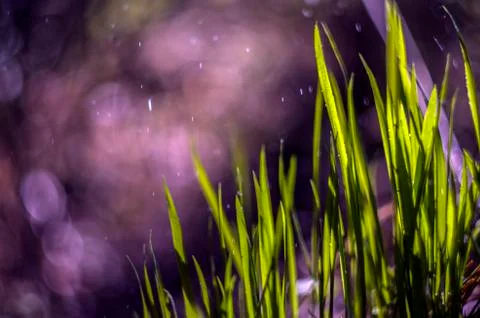 Natural background Stock Photos