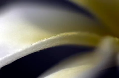 Natural background Stock Photos