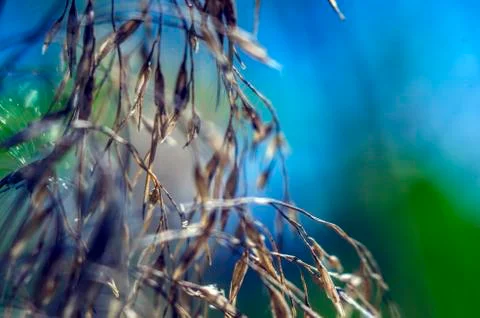 Natural background Stock Photos