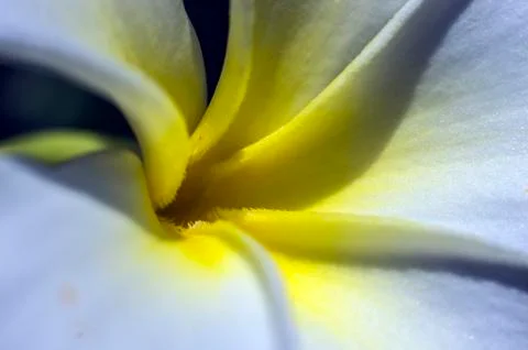 Natural background Foto stock