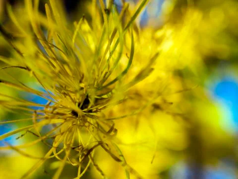 Natural background Stock Photos