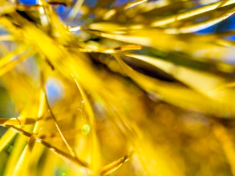 Natural background Foto stock