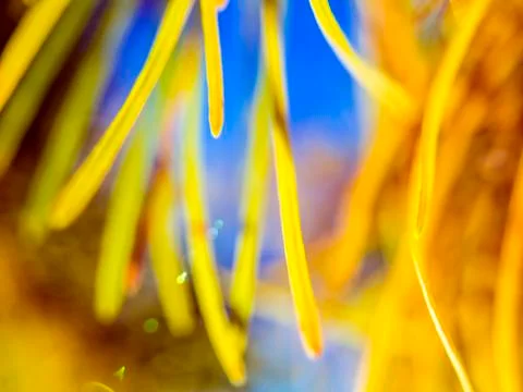 Natural background Stock Photos