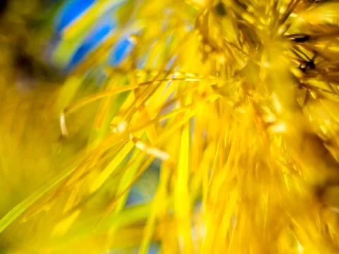 Natural background Stock Photos