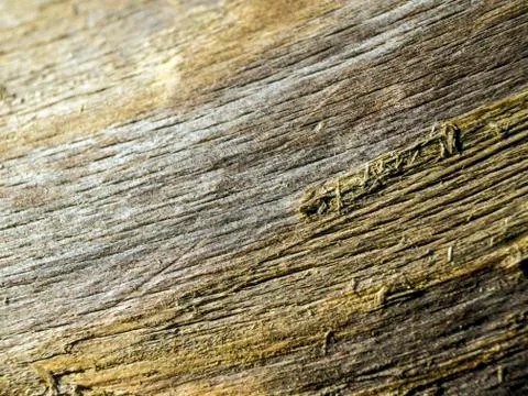 Natural background Stock Photos