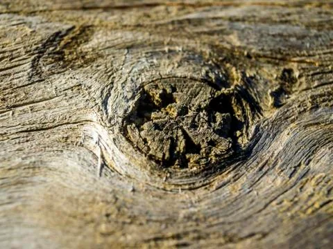 Natural background Stock Photos