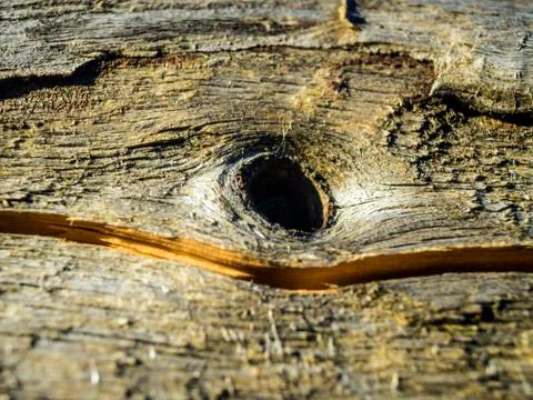 Natural background Foto stock