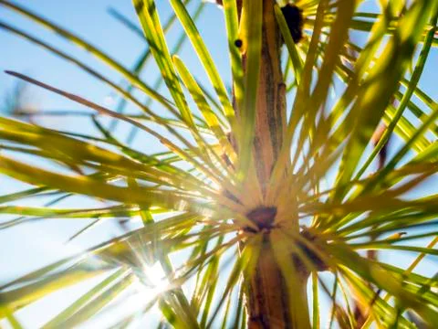 Natural background Stock Photos