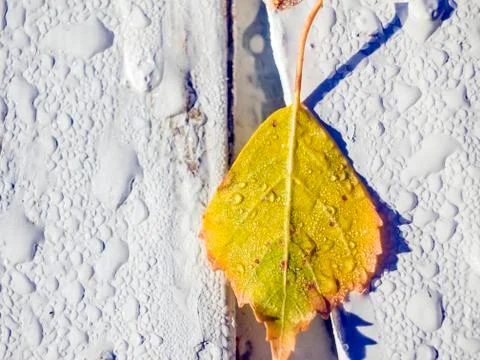 Natural background Stock Photos