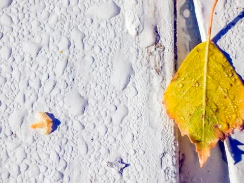 Natural background Foto stock