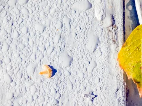 Natural background Foto stock