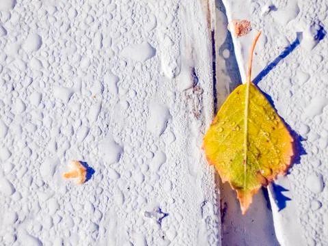 Natural background Foto stock