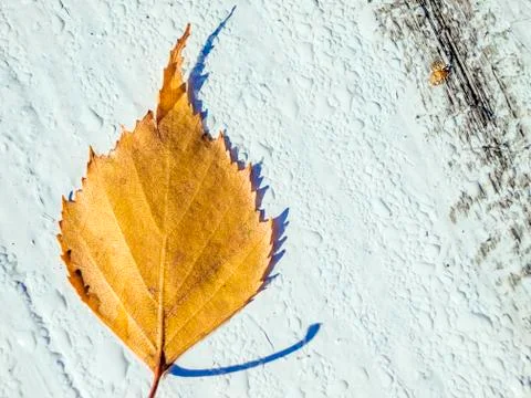 Natural background Stock Photos