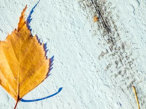 Natural background Stock Photos